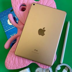 Apple iPad mini 5 (5th Generation/7.9” retina/ latest IOS 26  ) 64GB with pen,  kids case  & Accessories (256GB $329) 
