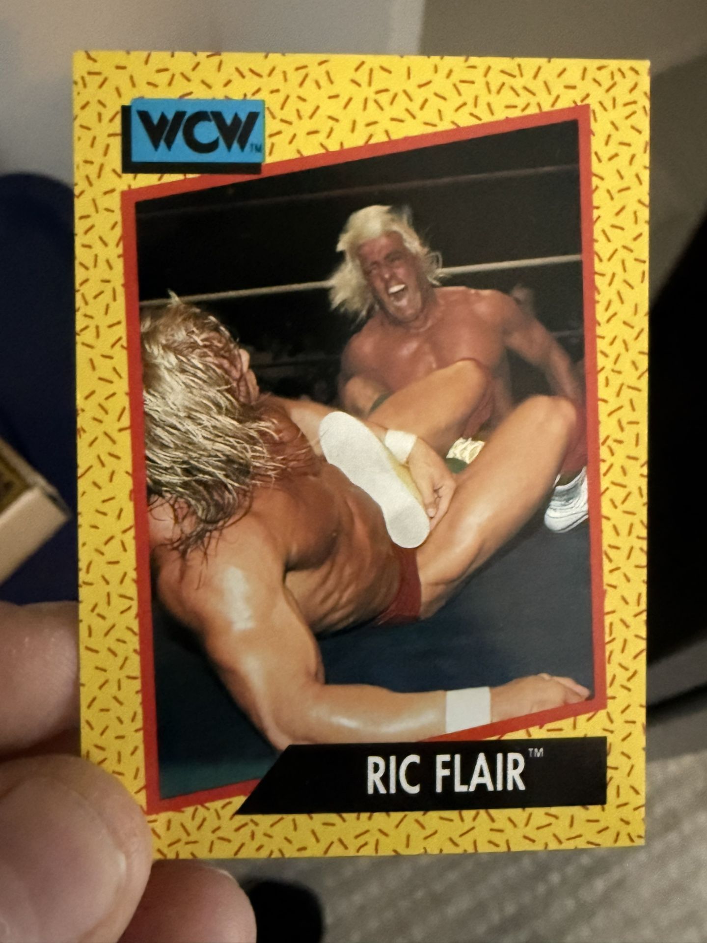1991 WCW Wrestling Card Full Set