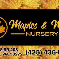 Trees,plants,flowers, Evergreen