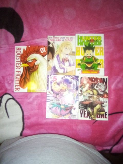 Anime Books