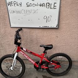 Schwinn 20” Bike