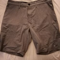 Men's Salty Crew Gray Hybrid Shorts - Size 32 - Barely Used!