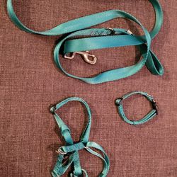 Dog leash, harness, & collar
