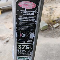 Ladder Little Giant 