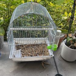 Bird Cage (2)