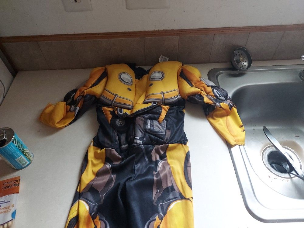 Bumblebee costume