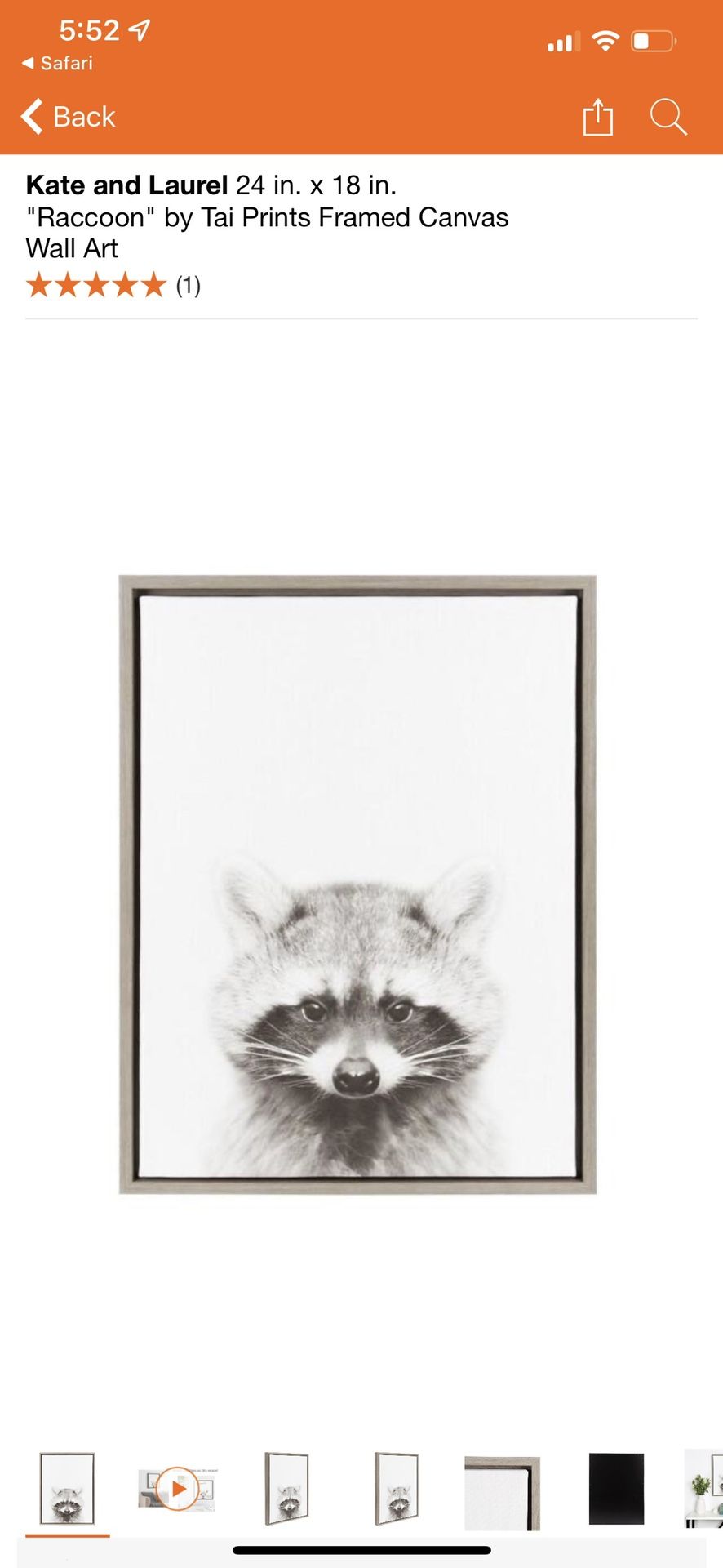3 Kate And laurel Baby Animal Prints