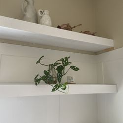 4 Wall shelves