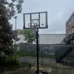 basketball hoop 