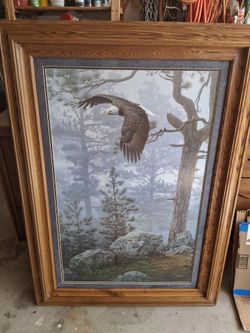 Flying eagle picture in the forest.