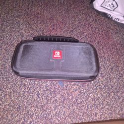 Nintendo Case