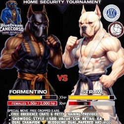 Street fighter Guardian Breed Poster