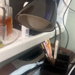 Desk lamp with flexible arm, accessory organizer, and AC power outlet