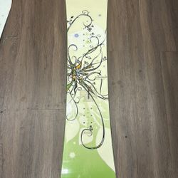 Salomon Snowboards