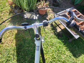 White Bicycle!!