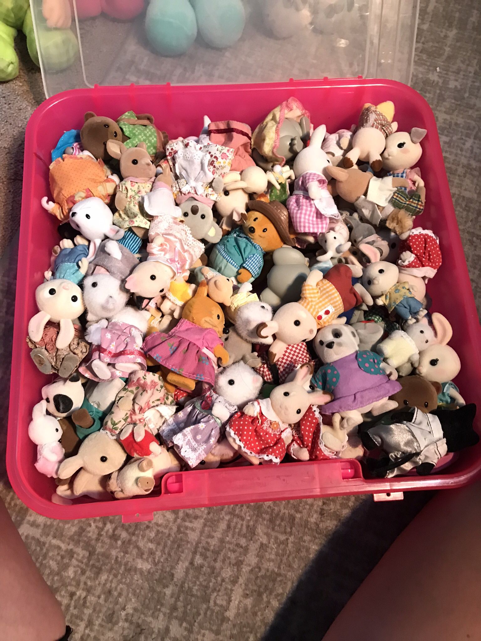 72 Calico Critters , 8 Woodzeezs