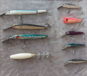 Fishing lures striper salt water