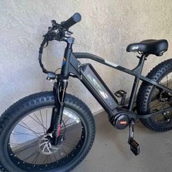 Bafang Ultra mid Drive Electric Mountain Bike 