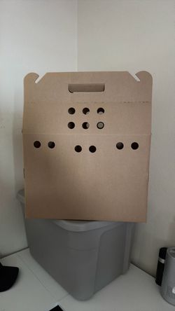 Cardboard cat carrier