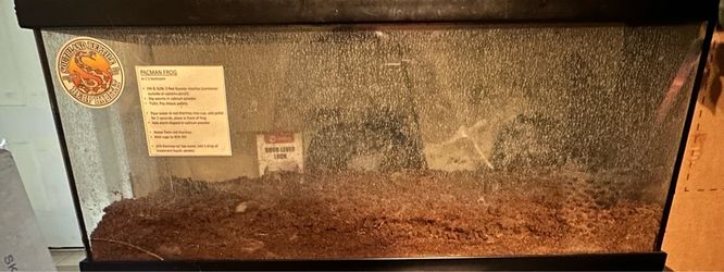 Free tank no reptile