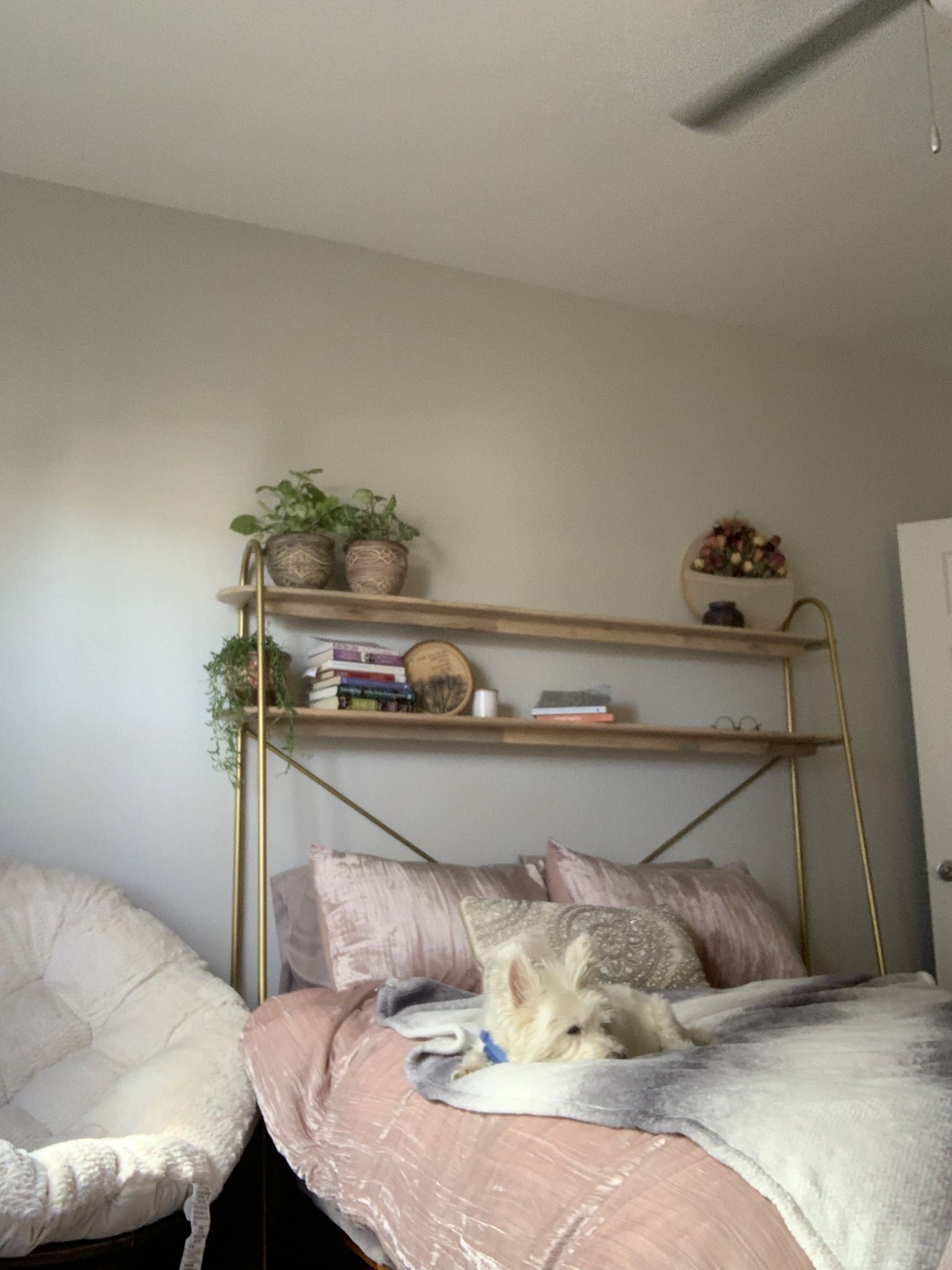 Urban Outfitters: Over-The-Bed Storage Shelf