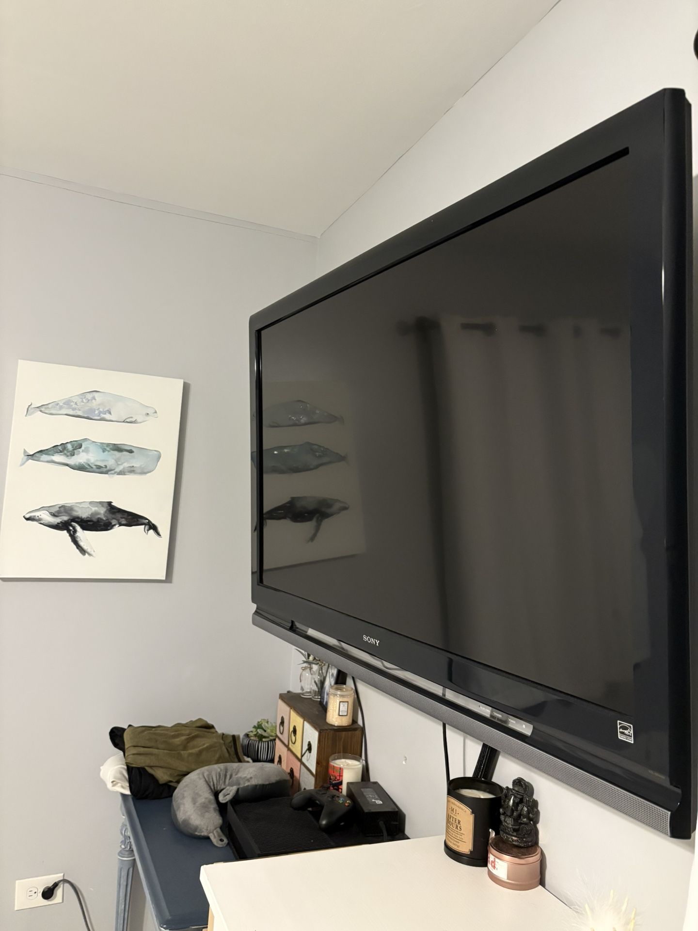 49 Inch TV With Swiveling Bracket