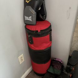 Punching Bag & Gloves