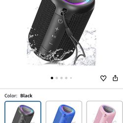 Portable Bluetooth Speaker