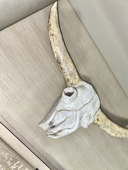 Cow Skull Sculpted
