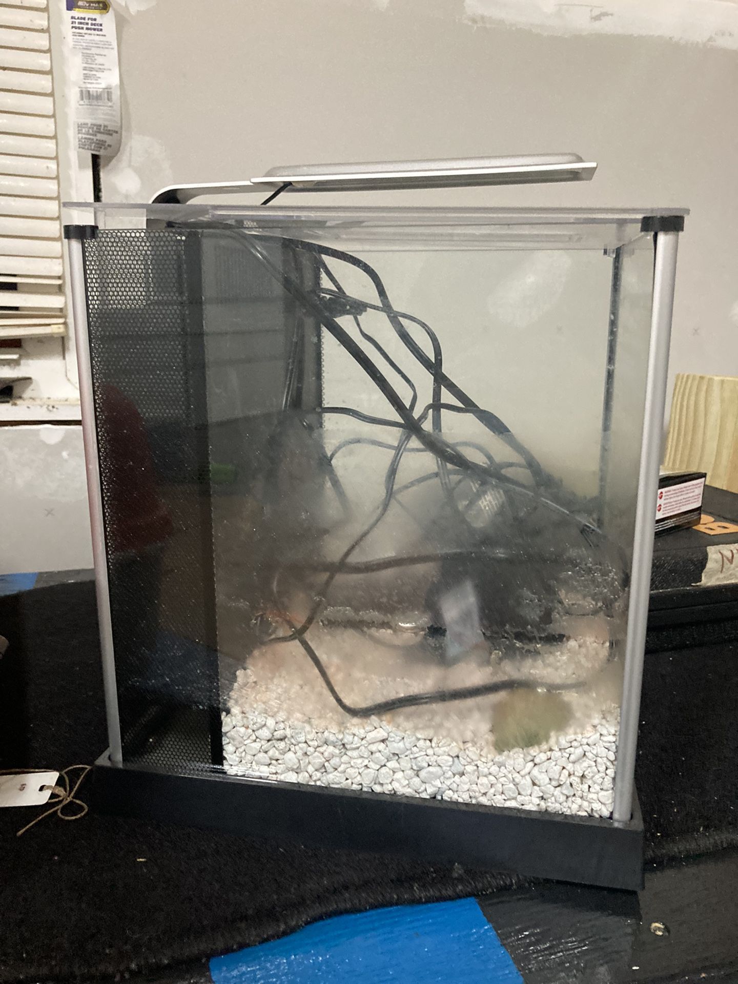 3 Gallon Fish tank With LED Lamp And Filter