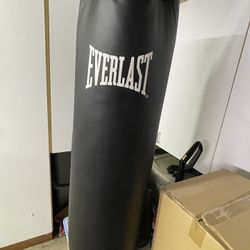 Everlast Hanging Punching Bag