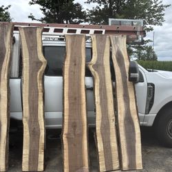 Black Walnut Live Edge Slabs 