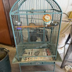 Bird Cage 