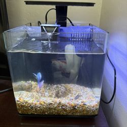 3 Gallons Fish Tank