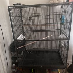 Bird Cage 