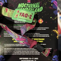 Nocturnal Wonderland 2 Day GA