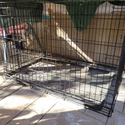 42-Inch iCrate Folding Dog Crate