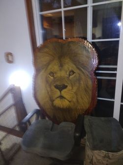 Calling All Leos Liking Lions..LOL LOWER THE PRICE