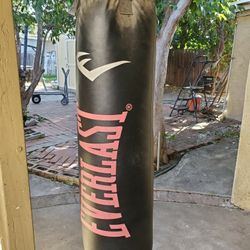 Everlast Heavy Punching Bag 100 Lbs 
