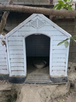 Two dog houses