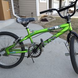 20 Inch Youth Bicycle 