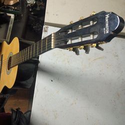 Acoustic Guitar 