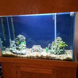 Aquarium Fish Tank With Stand & Canopy