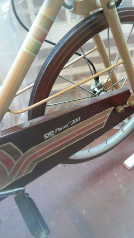 dp pacer 200 exercise bike