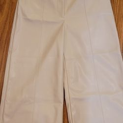 Ann TAYLOR   Pants Sz 2