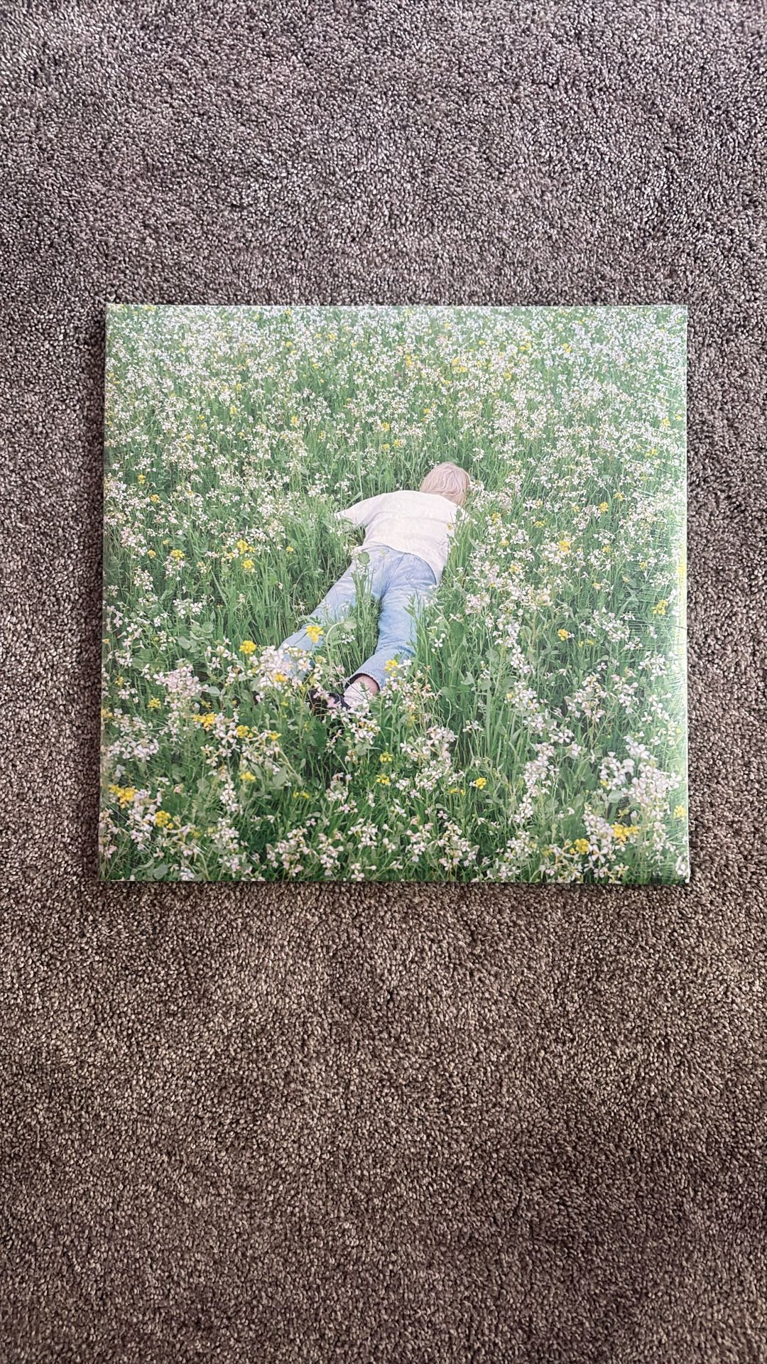 Porter Robinson - Nurture Vinyl Album