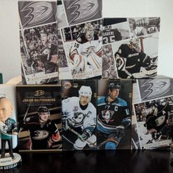 Anaheim Ducks Bobbleheads, Memorabilia items