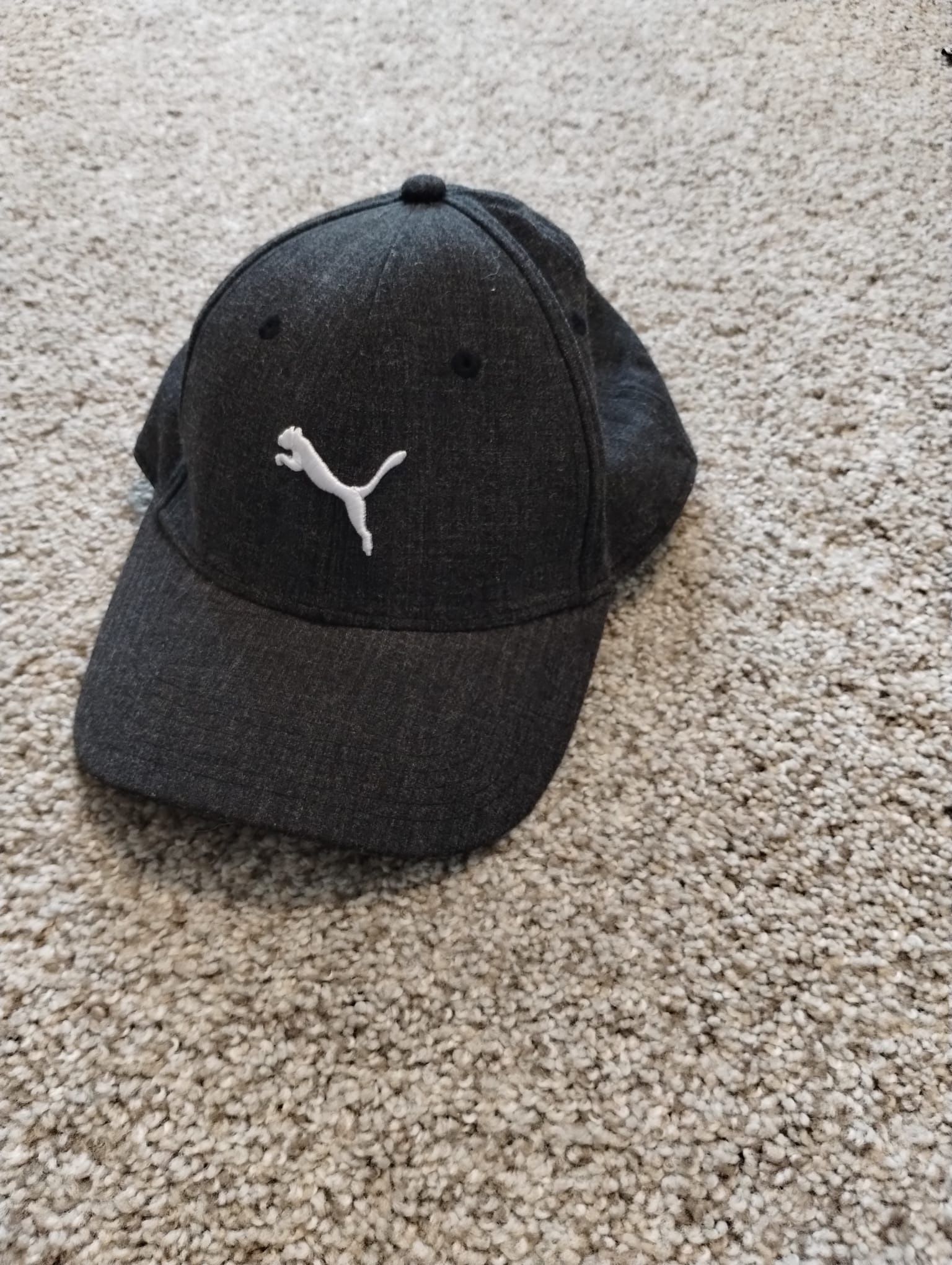 Puma hat