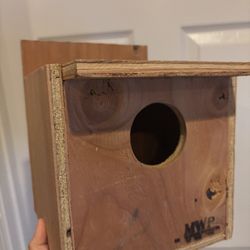 Bird House