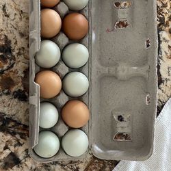 Eggs $7 Per Dozen  Freshly Laid 